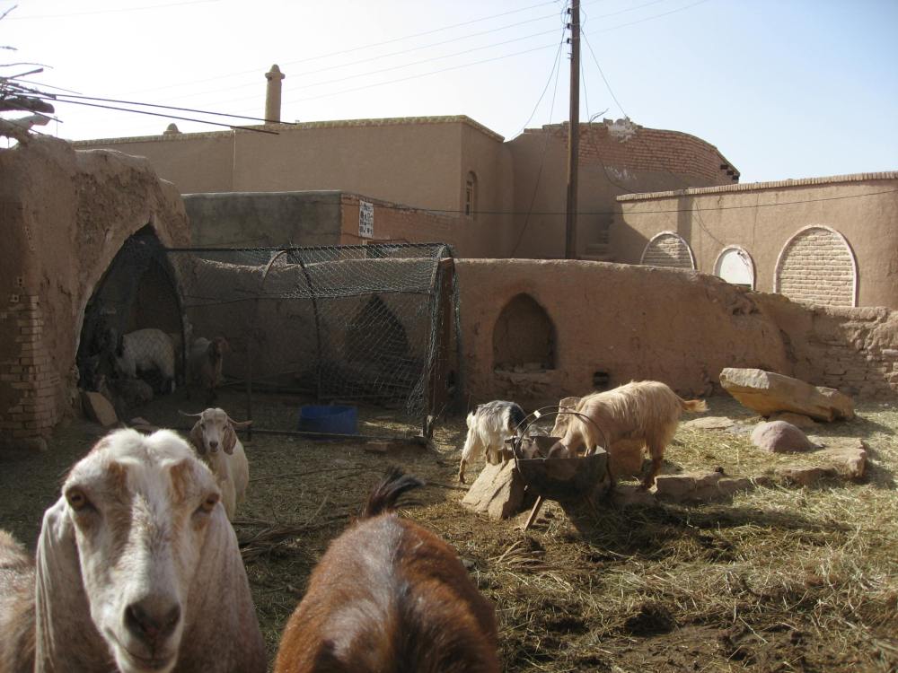 hotel y cabras en garmeh