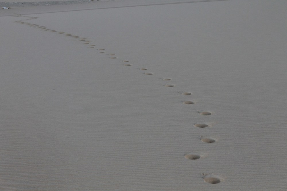 pisadas en la arena