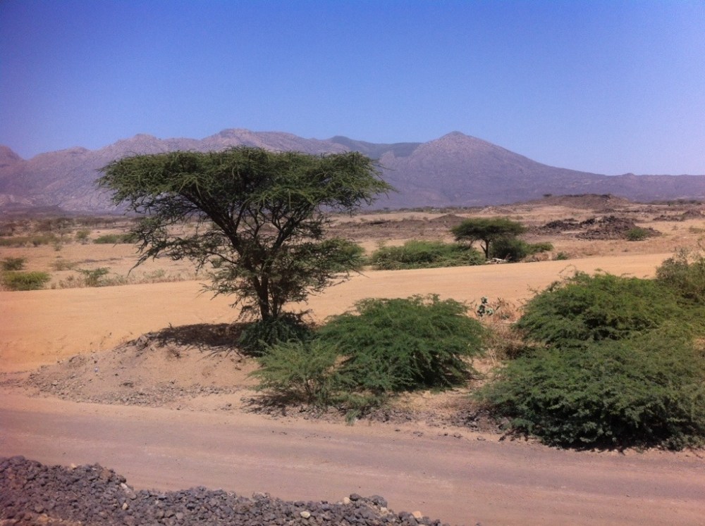 sabana etiopia