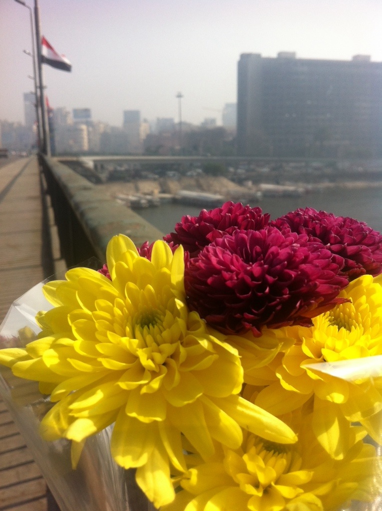 Flores en el Nilo