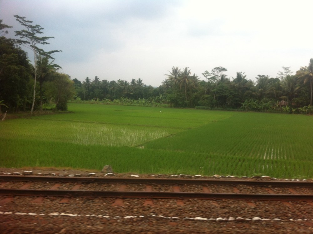 arroz tren jakarta