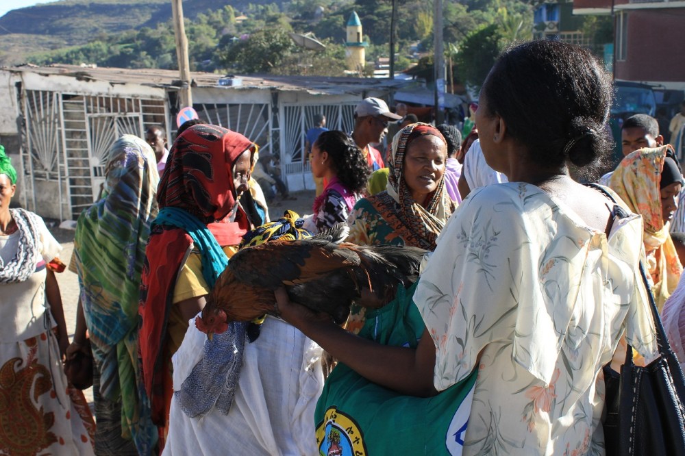 mercado pollo harar etiopia