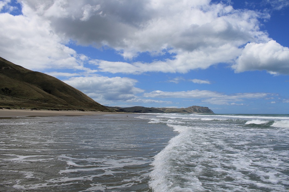nueva zelanda isla norte